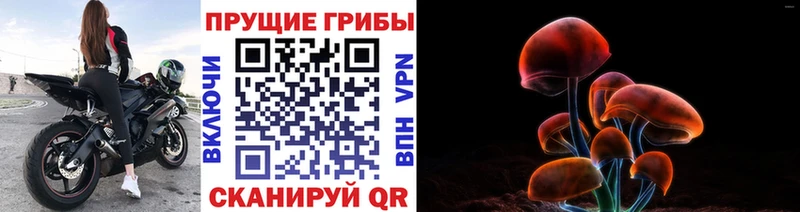 Псилоцибиновые грибы Cubensis  Таруса 